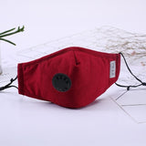 Face Mask with Air Filter
