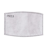 Face Mask with Air Filter