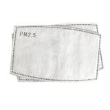 Face Mask with Air Filter