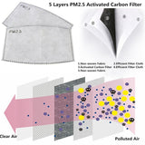 Face Mask with Air Filter